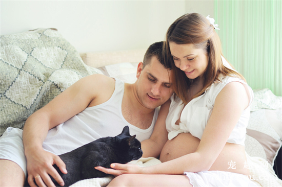 家里有人怀孕可以养猫吗