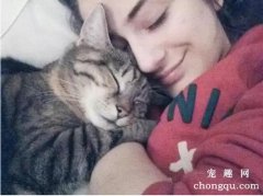 <b>养猫咪有什么好处？</b>