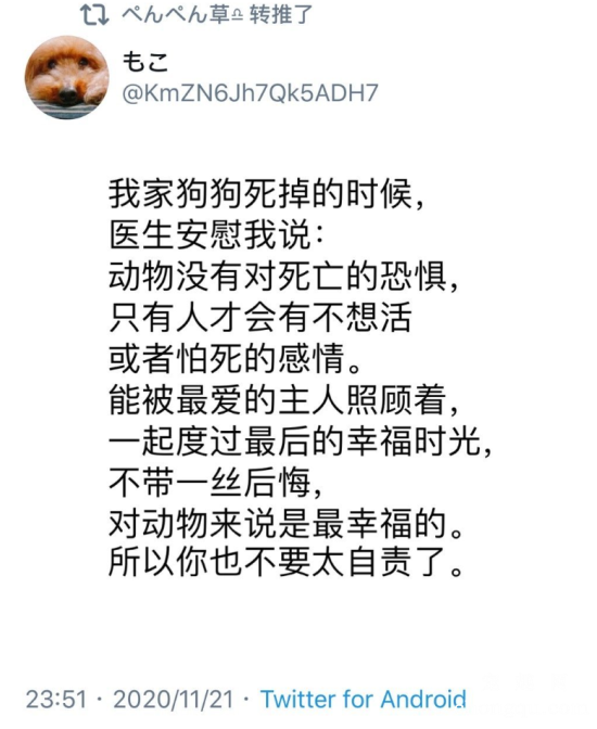 你读到过的关于狗狗的最动人的文字是什么？最后一个……爆哭！