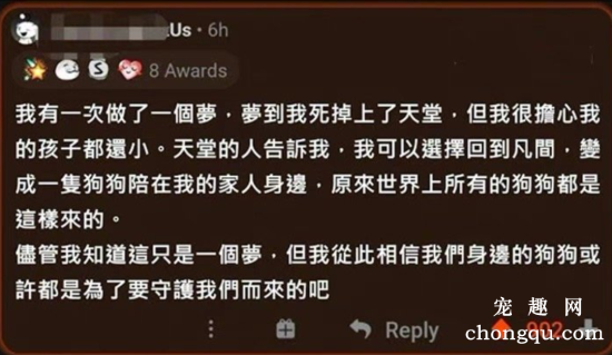 你读到过的关于狗狗的最动人的文字是什么？最后一个……爆哭！