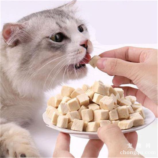 猫咪一天吃多少粒冻干