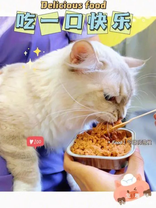 冬天罐头要不要热一下给猫吃？