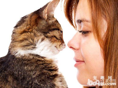 猫咪认错的6种方式，你会原谅它吗？