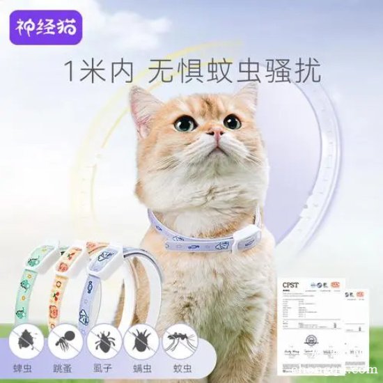 猫咪除蚤项圈好用吗 猫咪除蚤项圈作用介绍