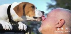 <b>狗狗为什么喜欢舔人的脸？</b>