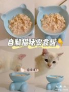 <b>如何自己制作可口的宠物猫罐头</b>