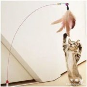 <b>几个使用逗猫棒的技巧</b>