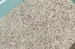 一袋5斤的猫砂一般能用多久