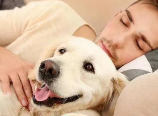 新手养狗必知：七大常见狗狗疾病的预防与治疗