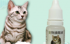 猫用消炎眼药水哪个好