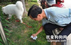 <b>1岁女儿被自家比特犬咬死，母亲刀割犬喉都无法解救</b>