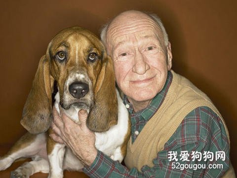 老年人养狗